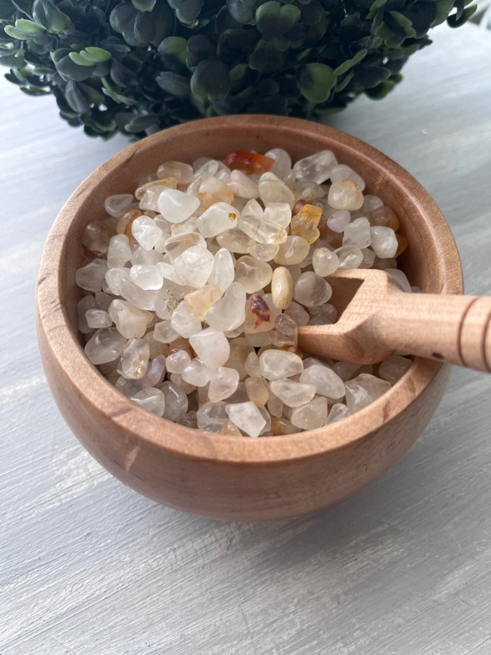 Golden Healer Chips